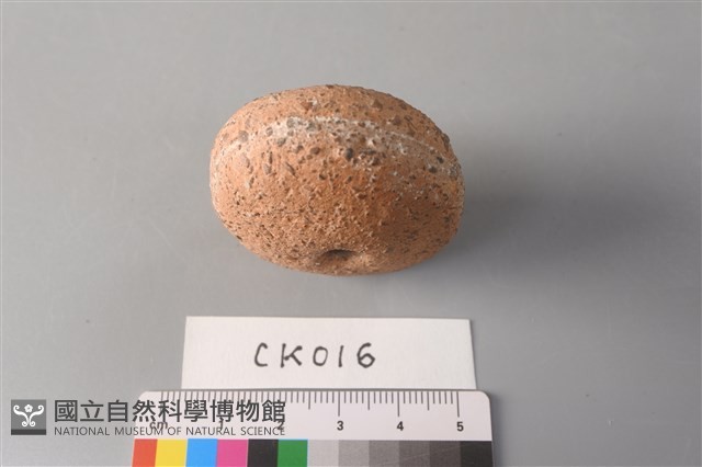 陶紡輪藏品圖，第3張