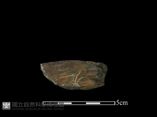 帶加工痕石材藏品圖，第3張