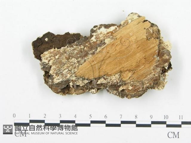 登錄號:F0006028藏品圖，第3張