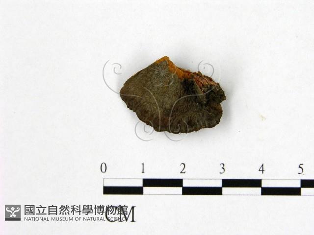 登錄號:F0007208藏品圖，第3張