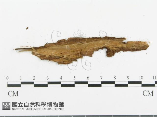 登錄號:F0008608藏品圖，第3張