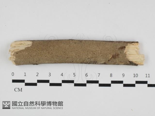 登錄號:F0001408藏品圖，第1張
