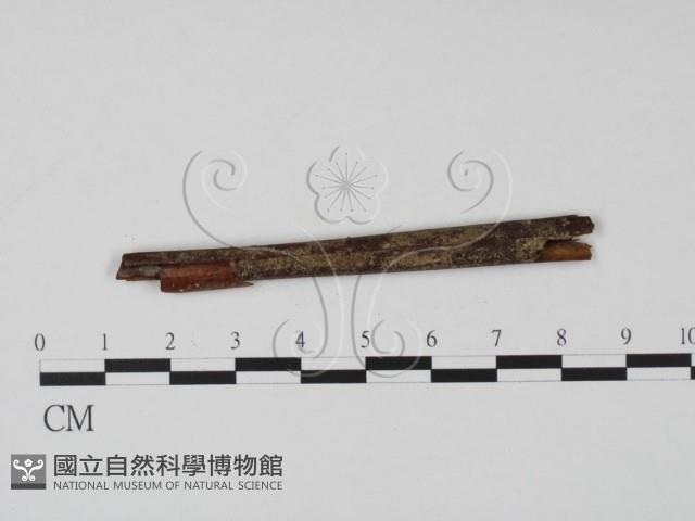 登錄號:F0005408藏品圖，第3張