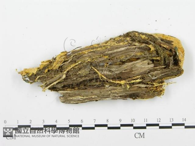 登錄號:F0009408藏品圖，第3張