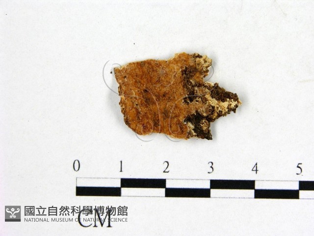 登錄號:F0009508藏品圖，第3張