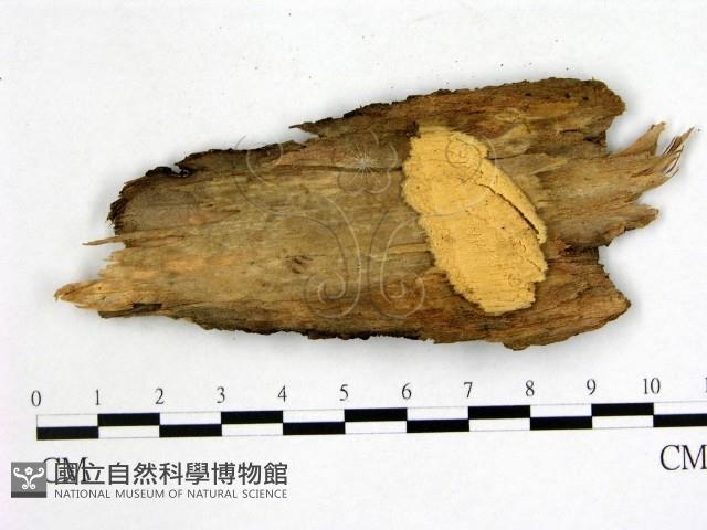 登錄號:F0008108藏品圖，第3張