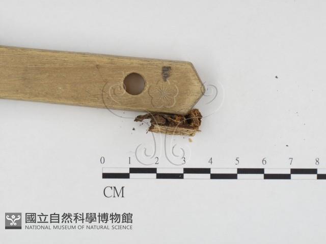 登錄號:F0024108藏品圖，第3張