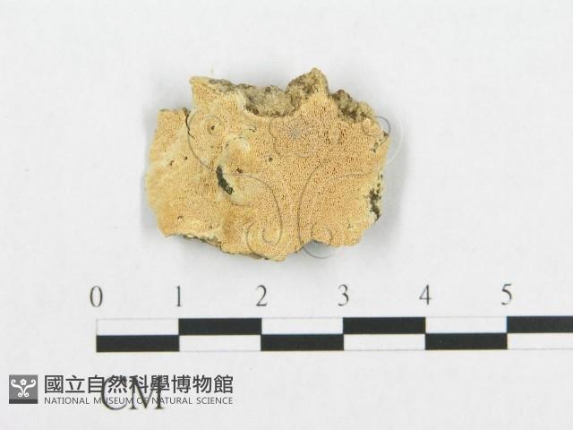 登錄號:F0007108藏品圖，第3張