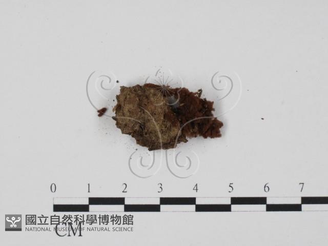 登錄號:F0003108藏品圖，第3張