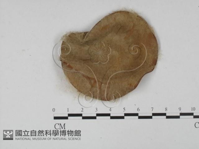 登錄號:F0001008藏品圖，第3張