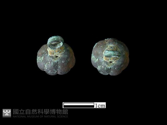 鈕子藏品圖，第1張