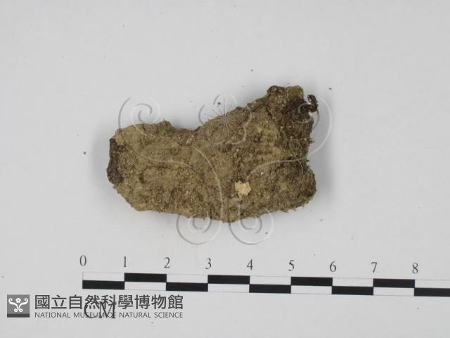 登錄號:F0001308藏品圖，第3張