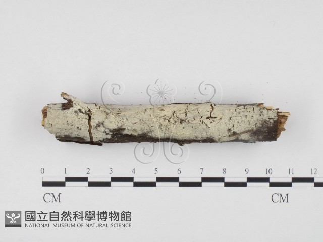 登錄號:F0004308藏品圖，第3張
