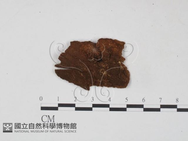 登錄號:F0006218藏品圖，第3張