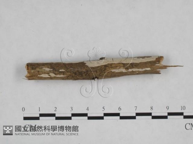 登錄號:F0001218藏品圖，第3張