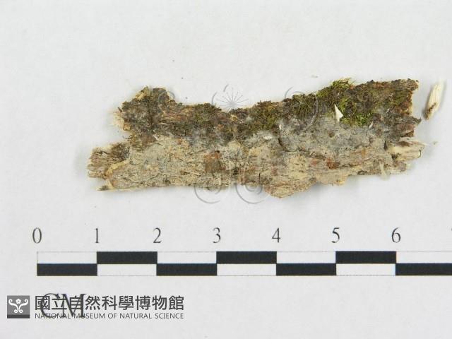 登錄號:F0009218藏品圖，第1張