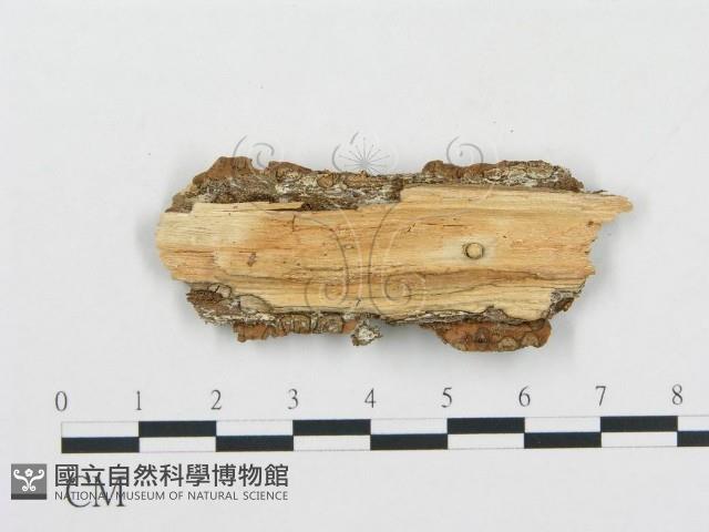 登錄號:F0009418藏品圖，第3張