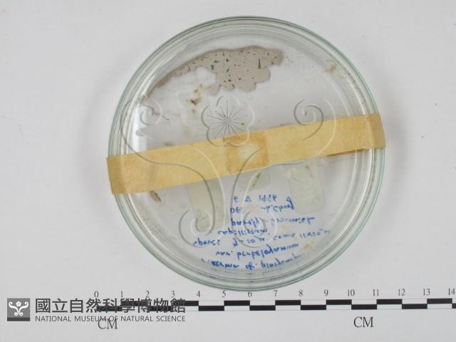 登錄號:F0018118藏品圖，第3張