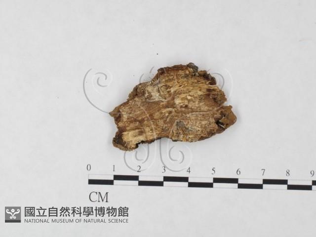 登錄號:F0006118藏品圖，第3張