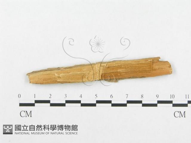 登錄號:F0007118藏品圖，第3張