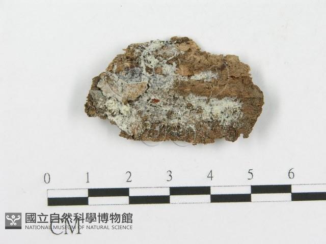 登錄號:F0005018藏品圖，第1張