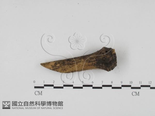 登錄號:F0009318藏品圖，第3張