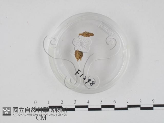 登錄號:F0001298藏品圖，第3張