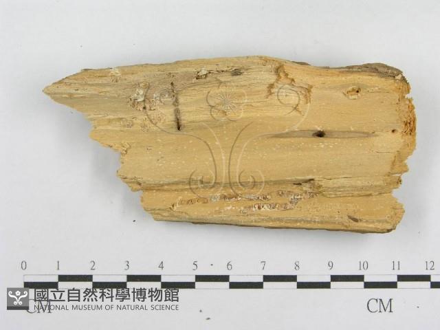 登錄號:F0000898藏品圖，第3張