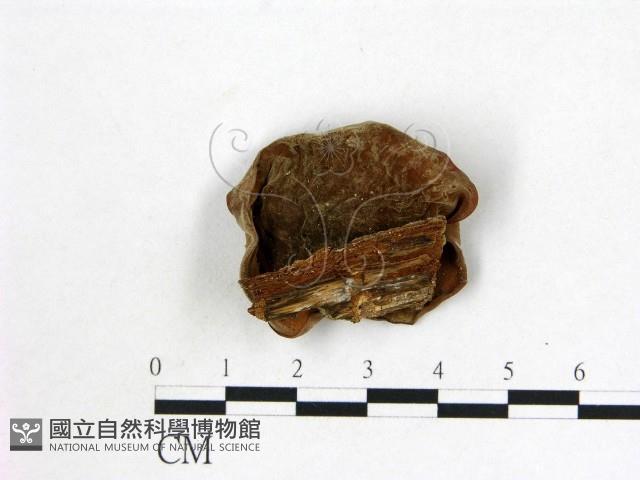 登錄號:F0001898藏品圖，第3張