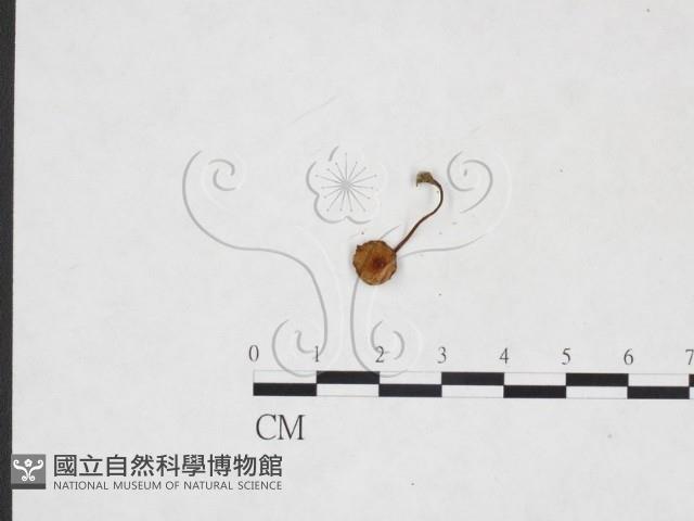 登錄號:F0025898藏品圖，第3張