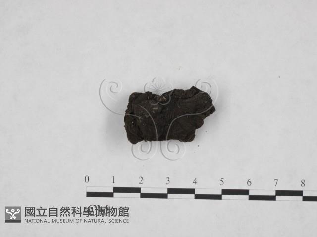 登錄號:F0013898藏品圖，第3張