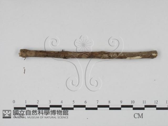 登錄號:F0007998藏品圖，第3張
