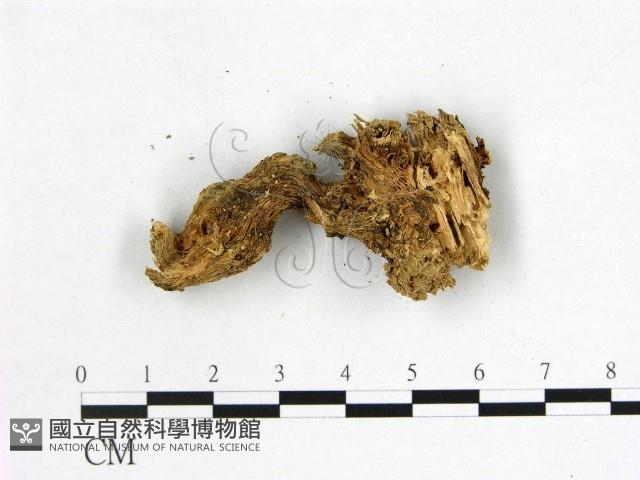 登錄號:F0007698藏品圖，第3張