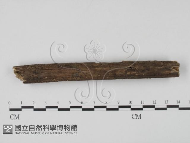 登錄號:F0002498藏品圖，第3張