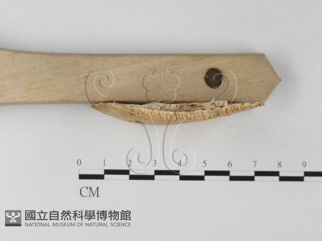 登錄號:F0006798藏品圖，第3張