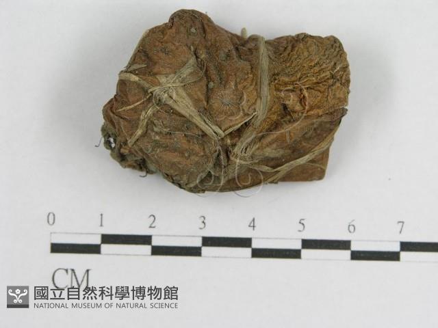 登錄號:F0004798藏品圖，第3張