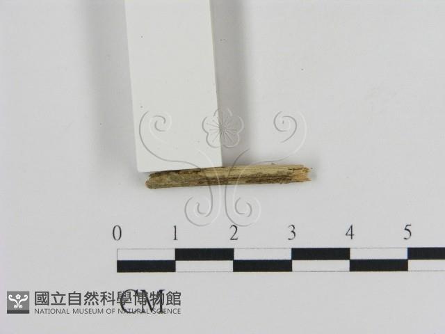 登錄號:F0002798藏品圖，第3張