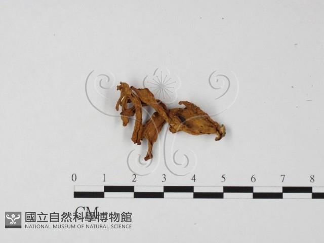 登錄號:F0025798藏品圖，第3張