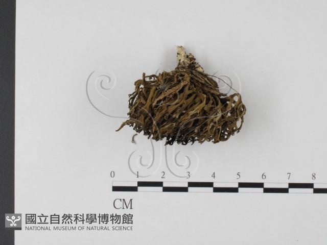 登錄號:F0003798藏品圖，第3張