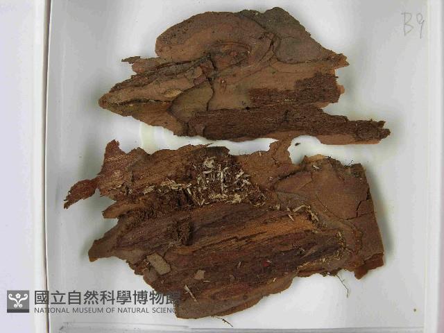 登錄號:F0021598藏品圖，第3張