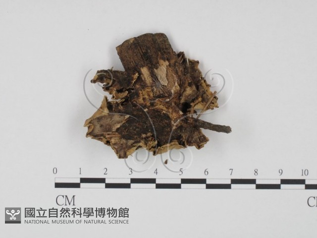 登錄號:F0008198藏品圖，第3張