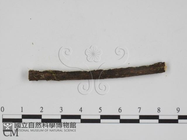 登錄號:F0001098藏品圖，第3張