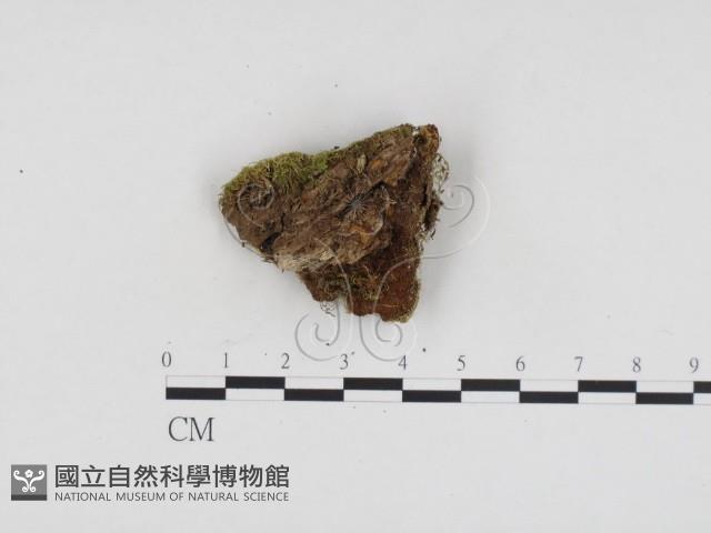 登錄號:F0024098藏品圖，第3張