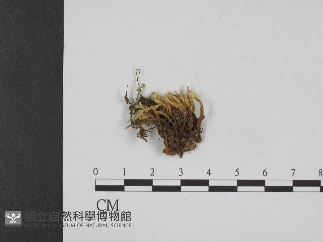 登錄號:F0004398藏品圖，第3張