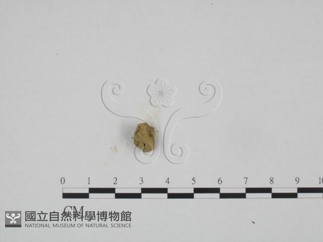 登錄號:F0005398藏品圖，第3張