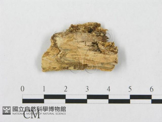 登錄號:F0007288藏品圖，第3張