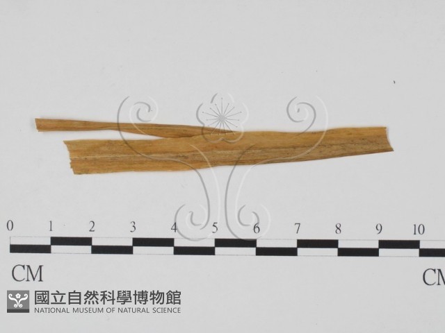 登錄號:F0011888藏品圖，第3張