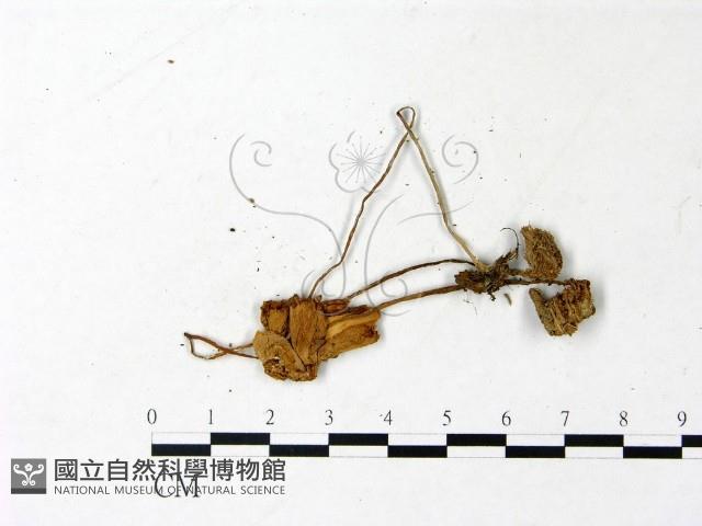 登錄號:F0022888藏品圖，第3張
