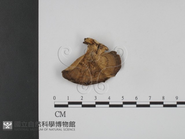 登錄號:F0007888藏品圖，第3張