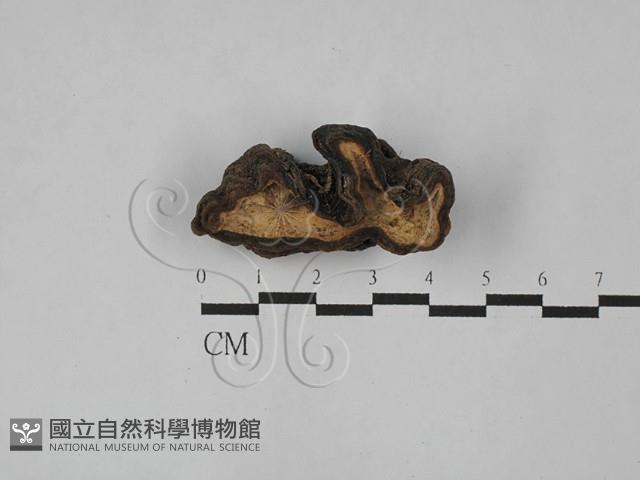 登錄號:F0028988藏品圖，第3張